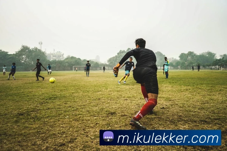 赏金女王官网登录入口APP 封面图