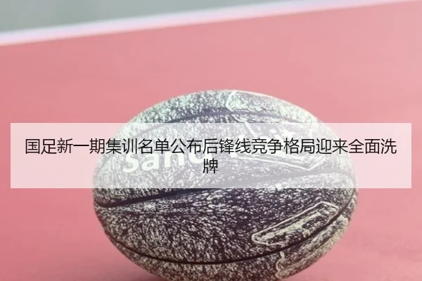 国足新一期集训名单公布后锋线竞争格局迎来全面洗牌